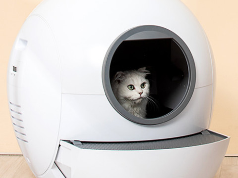 Bac à litière intelligente autonettoyante pour chats - O
