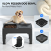 Bols surélevées pour chiens