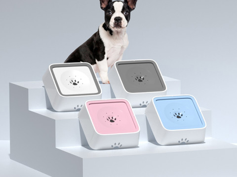 Bol d'eau pour animaux de compagnie