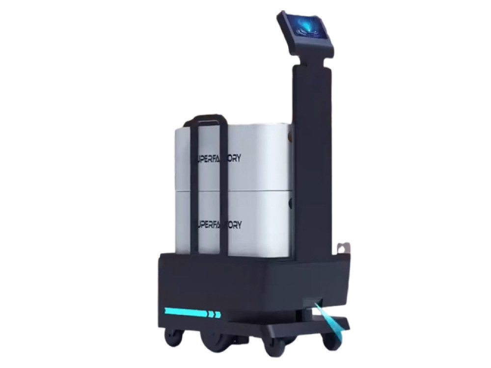 Robot de service Bigdog