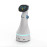 Robot de service ELF