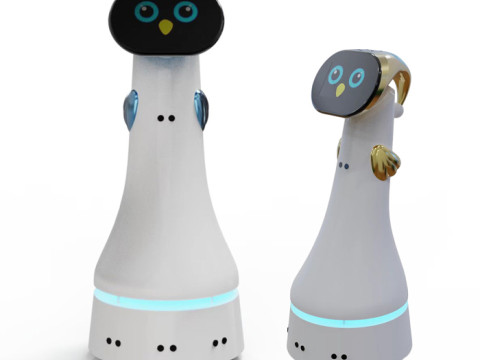 Robot de service ELF