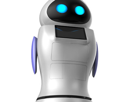 Robot de service KaKa