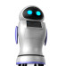KaKa Service Robot