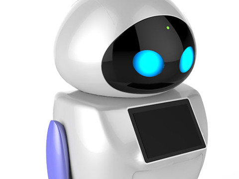 Robot de service KaKa