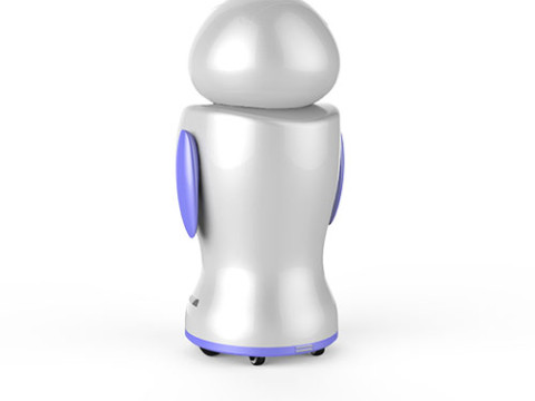 Robot de service KaKa