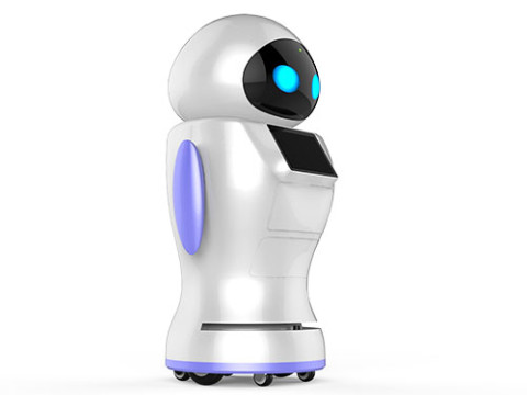 Robot de service KaKa