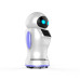 KaKa Service Robot