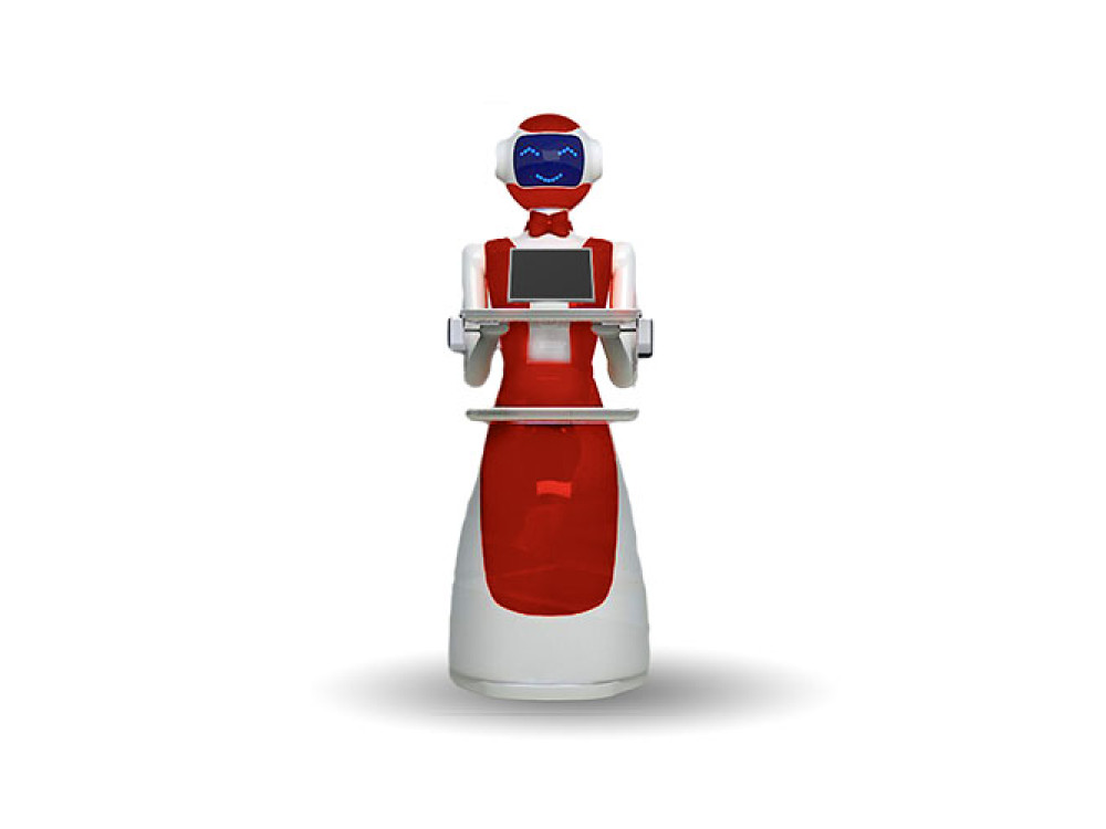 LeLe Service Robot