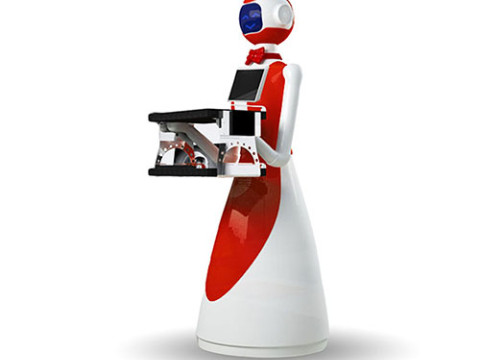 Robot de service LeLe