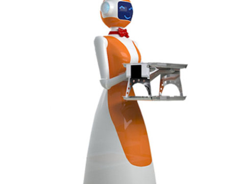Robot de service LeLe
