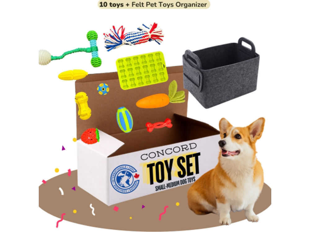Small-Medium Dog Toys