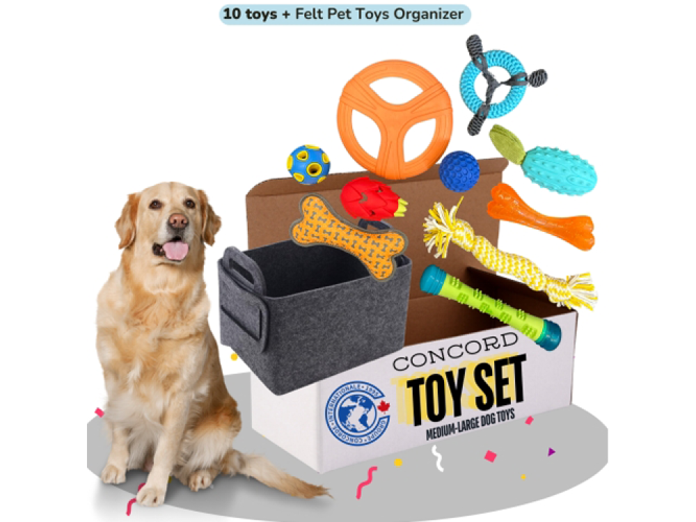 Medium-Large Dog Toys